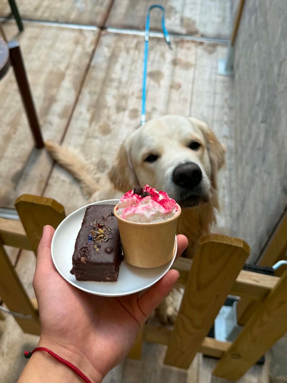 Dogood Café à Ixelles